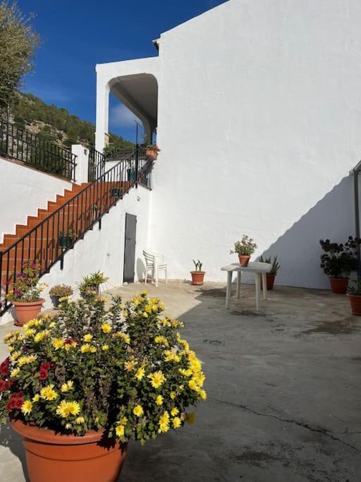 Casa La Fuente Alta * Algodonales