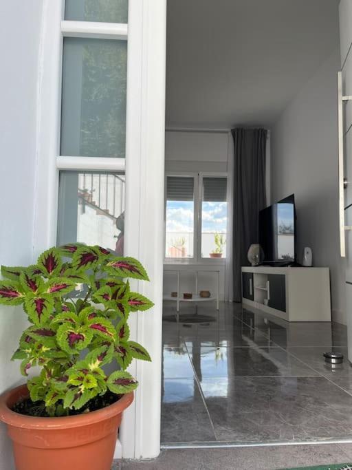 Ferienhaus Casa La Fuente Alta Algodonales